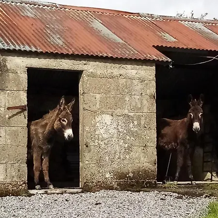 Siopa An Tsaoir Killarney